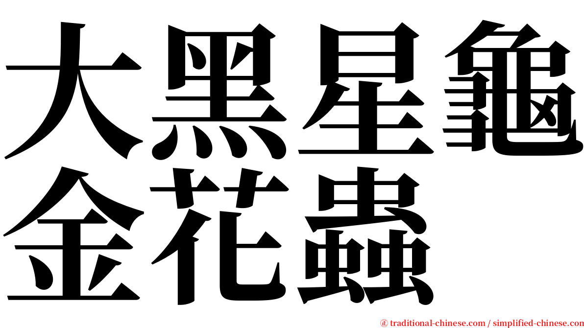 大黑星龜金花蟲 serif font