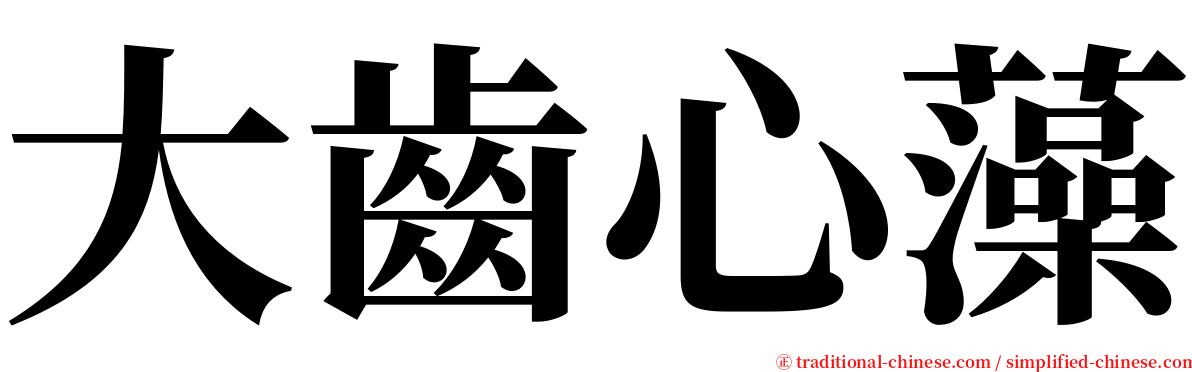 大齒心藻 serif font