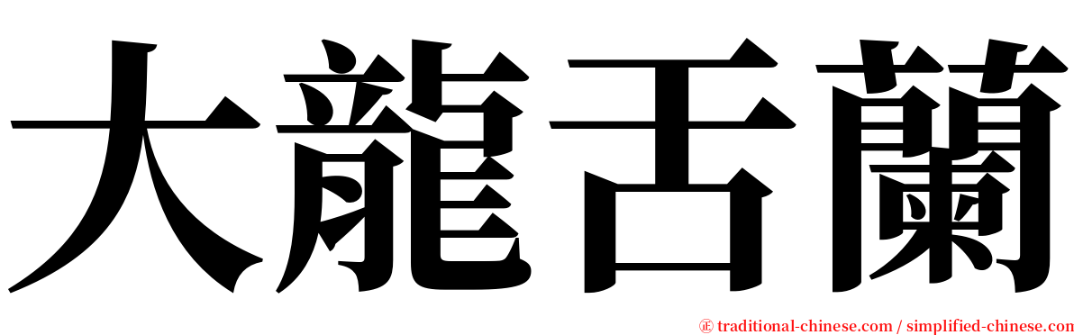 大龍舌蘭 serif font