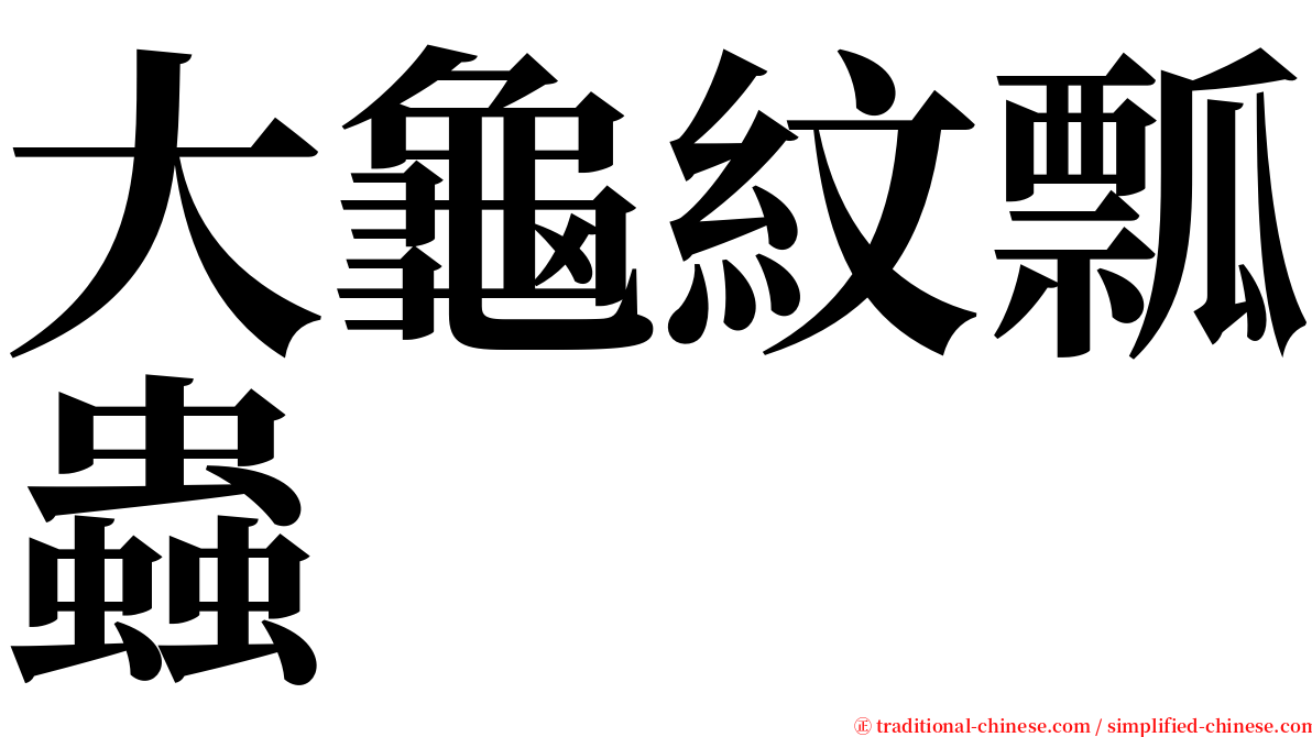 大龜紋瓢蟲 serif font