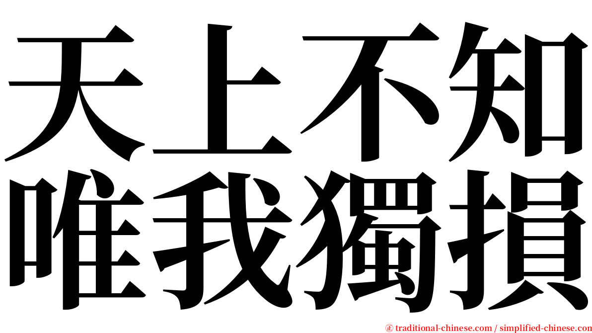 天上不知唯我獨損 serif font