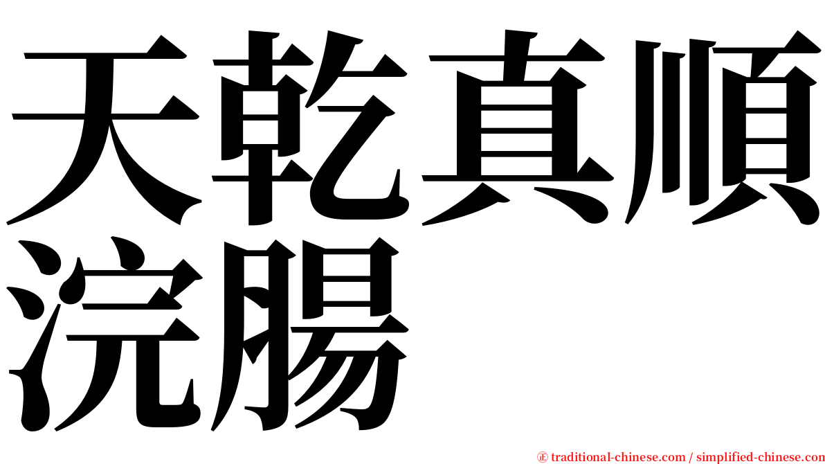 天乾真順浣腸 serif font