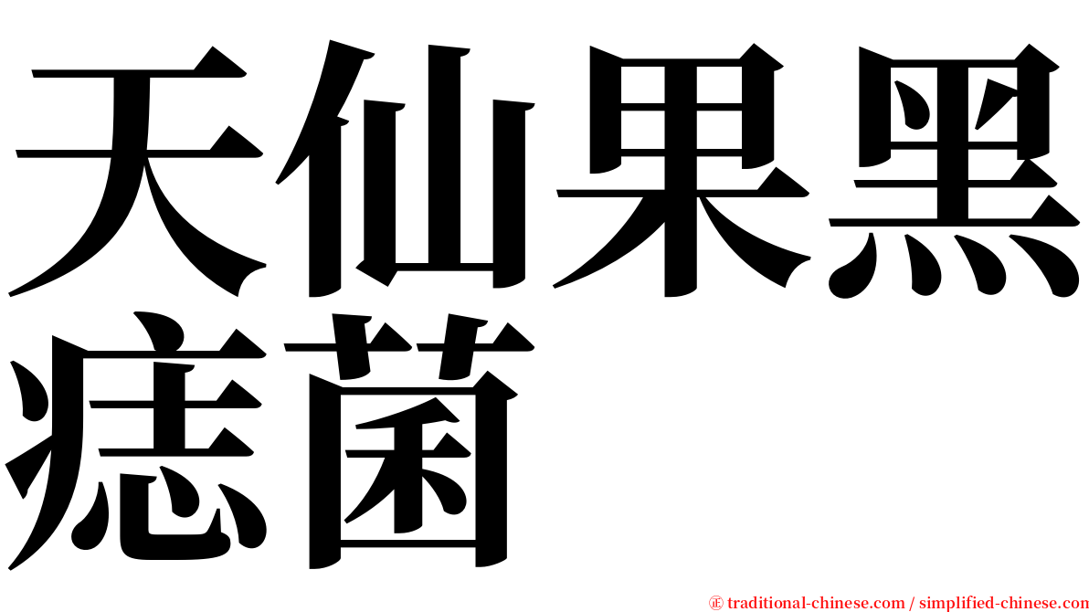 天仙果黑痣菌 serif font