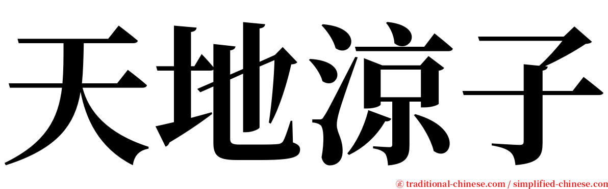 天地涼子 serif font