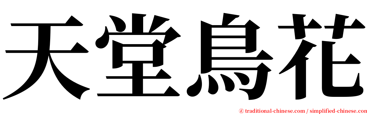 天堂鳥花 serif font