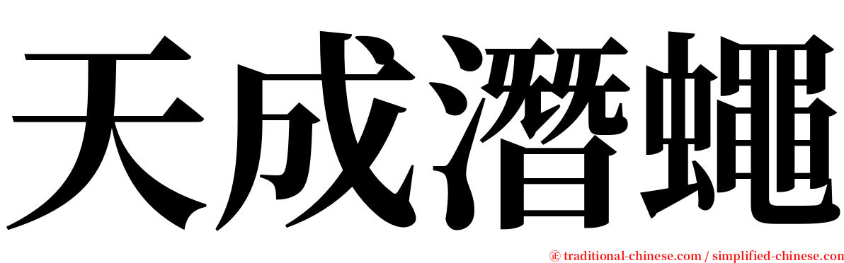 天成潛蠅 serif font