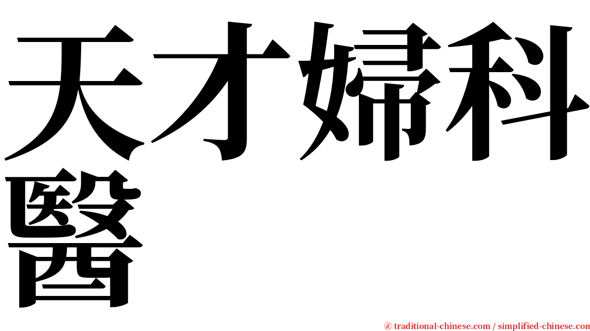 天才婦科醫 serif font