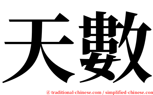 天數 serif font