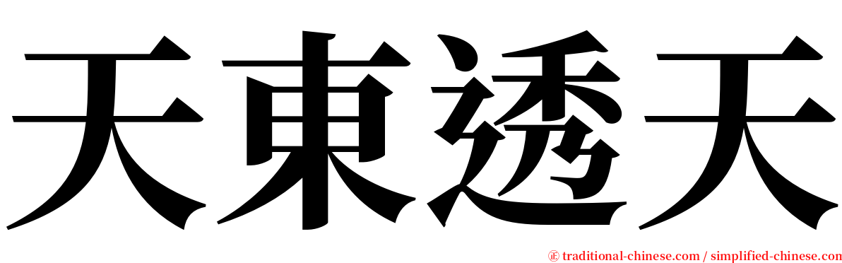 天東透天 serif font