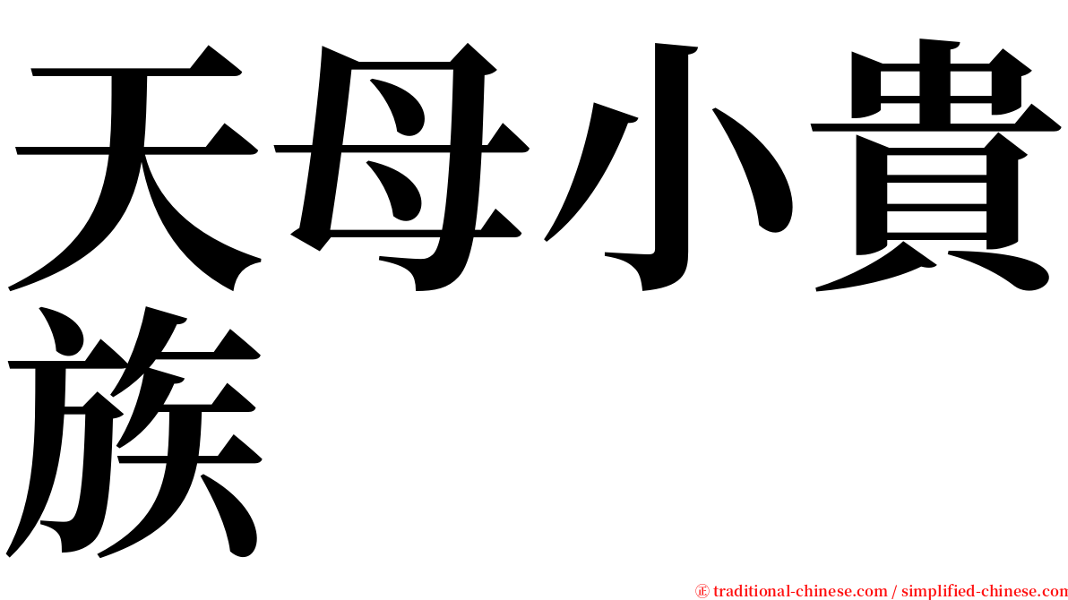 天母小貴族 serif font