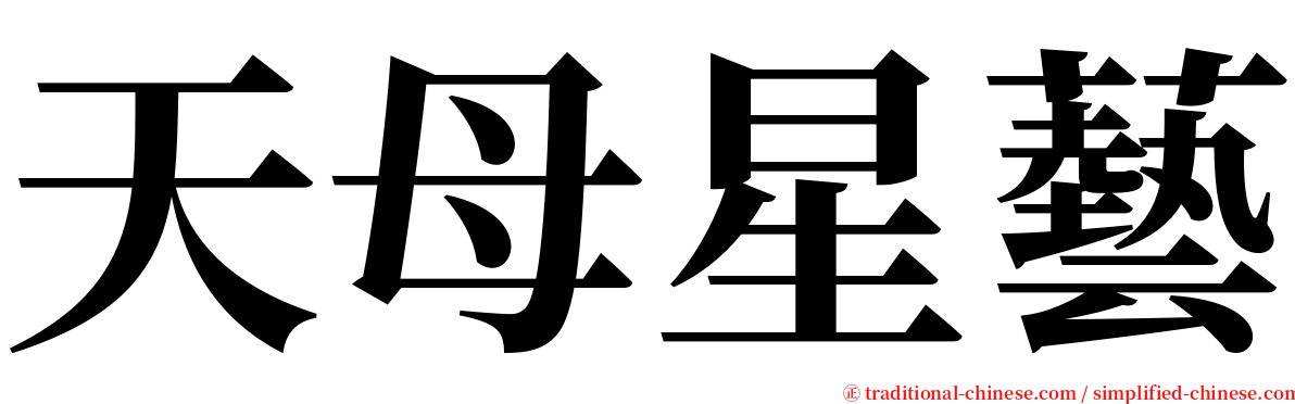 天母星藝 serif font