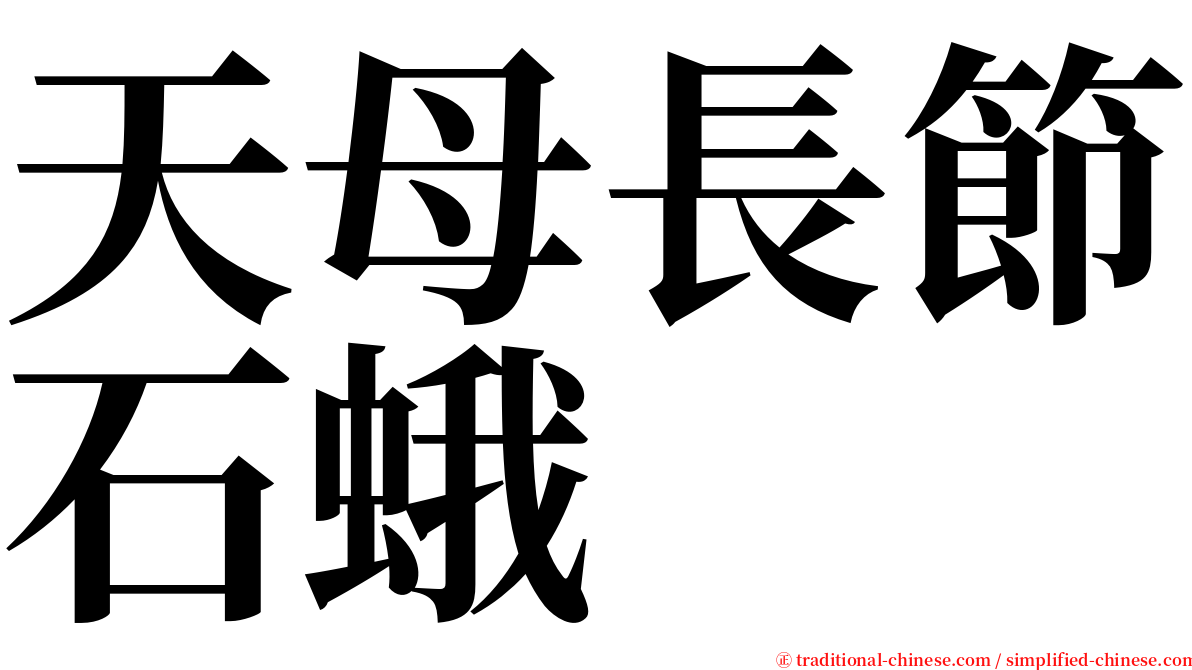 天母長節石蛾 serif font