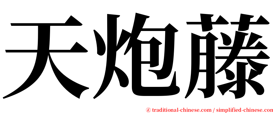 天炮藤 serif font