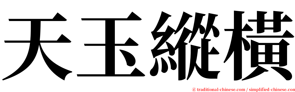 天玉縱橫 serif font