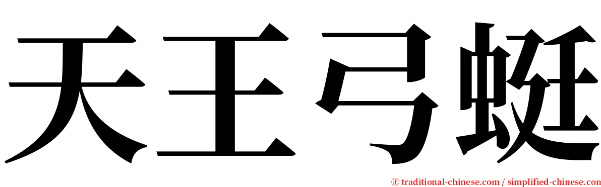 天王弓蜓 serif font