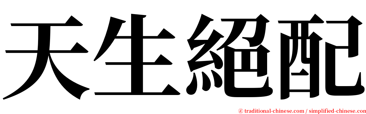 天生絕配 serif font