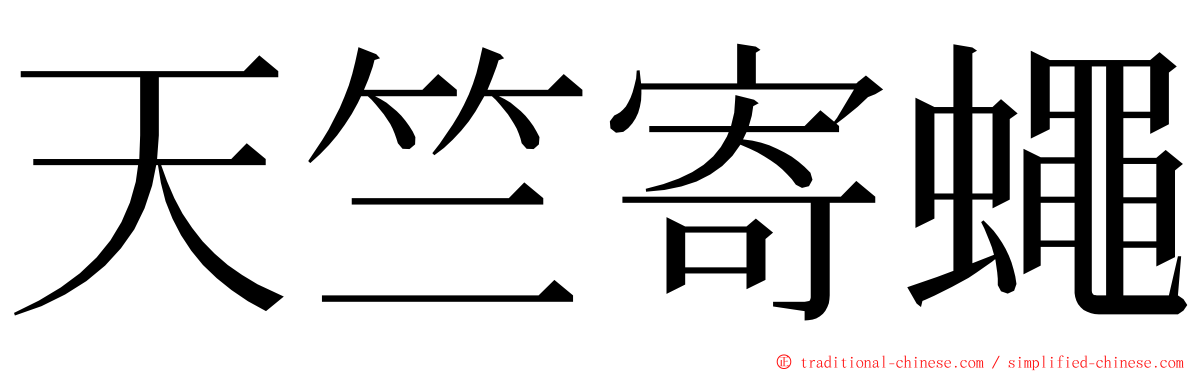 天竺寄蠅 ming font