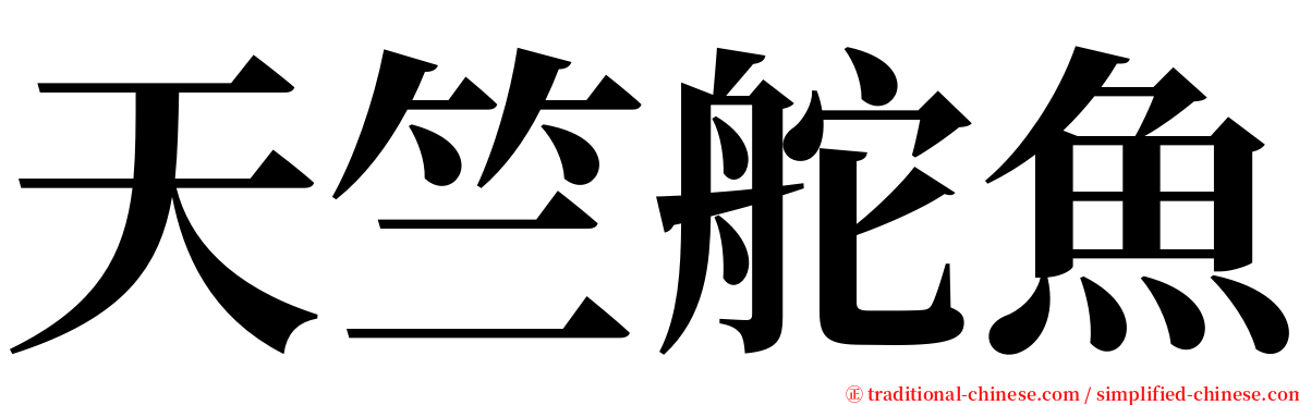 天竺舵魚 serif font