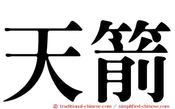天箭
