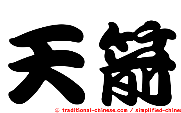 天箭