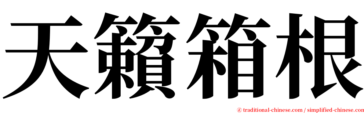 天籟箱根 serif font