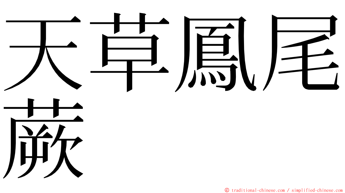 天草鳳尾蕨 ming font