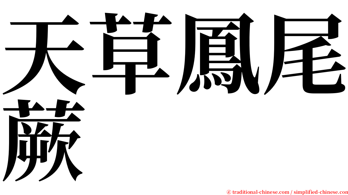 天草鳳尾蕨 serif font