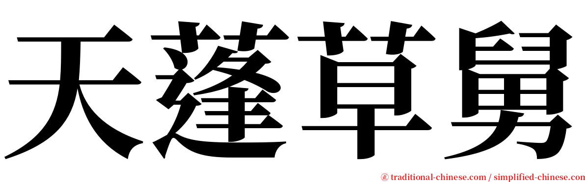 天蓬草舅 serif font