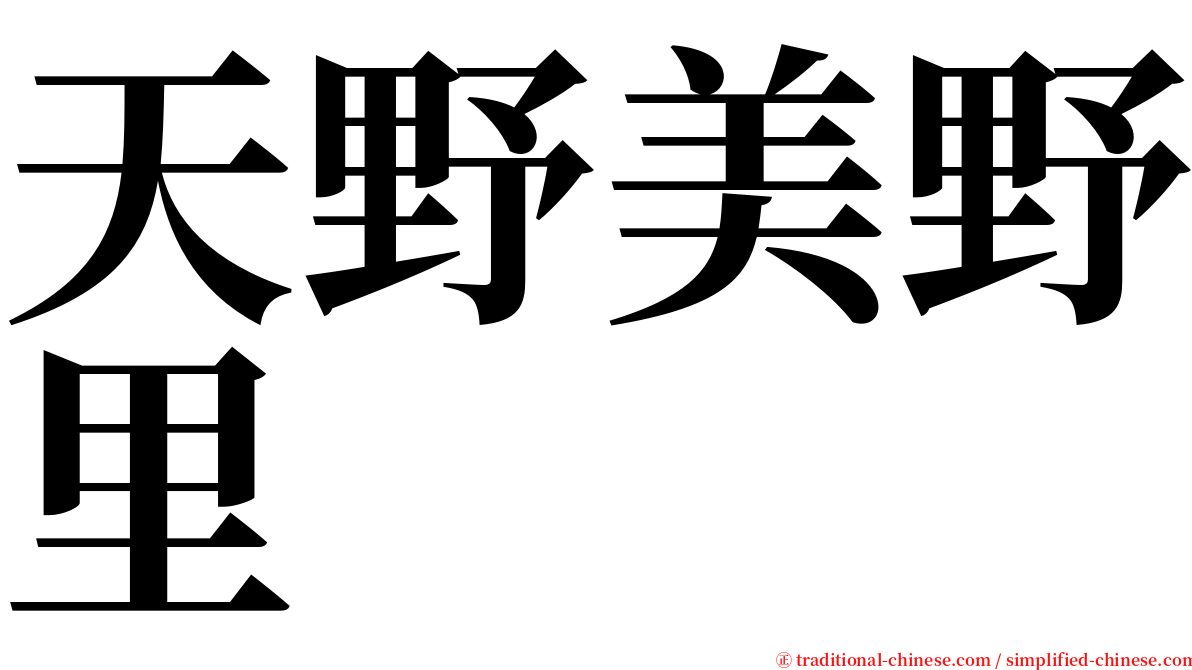 天野美野里 serif font