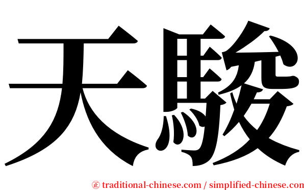 天駿 serif font