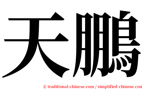 天鵬 serif font