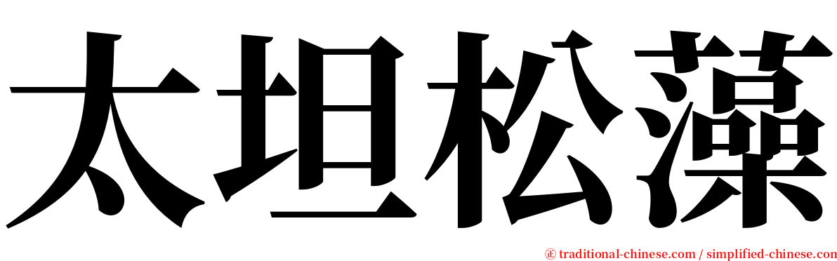 太坦松藻 serif font