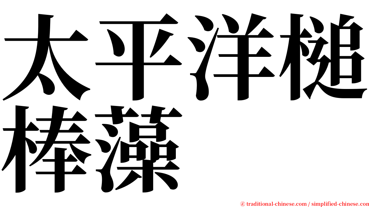 太平洋槌棒藻 serif font