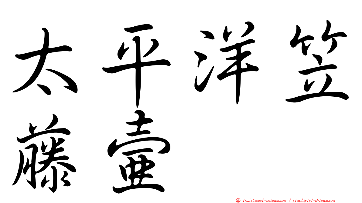 太平洋笠藤壺