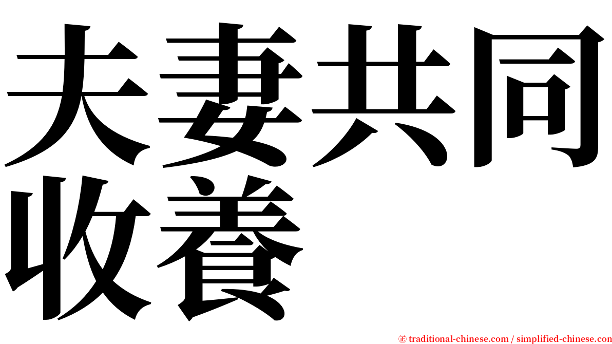 夫妻共同收養 serif font