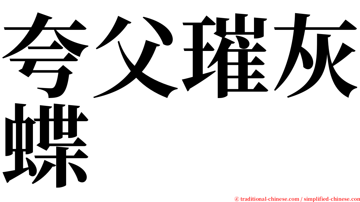 夸父璀灰蝶 serif font