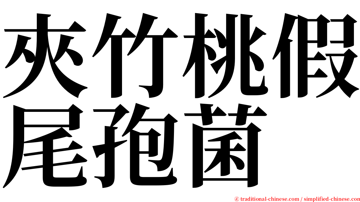 夾竹桃假尾孢菌 serif font