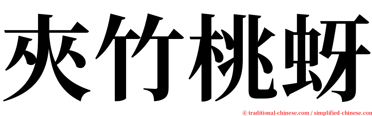 夾竹桃蚜 serif font