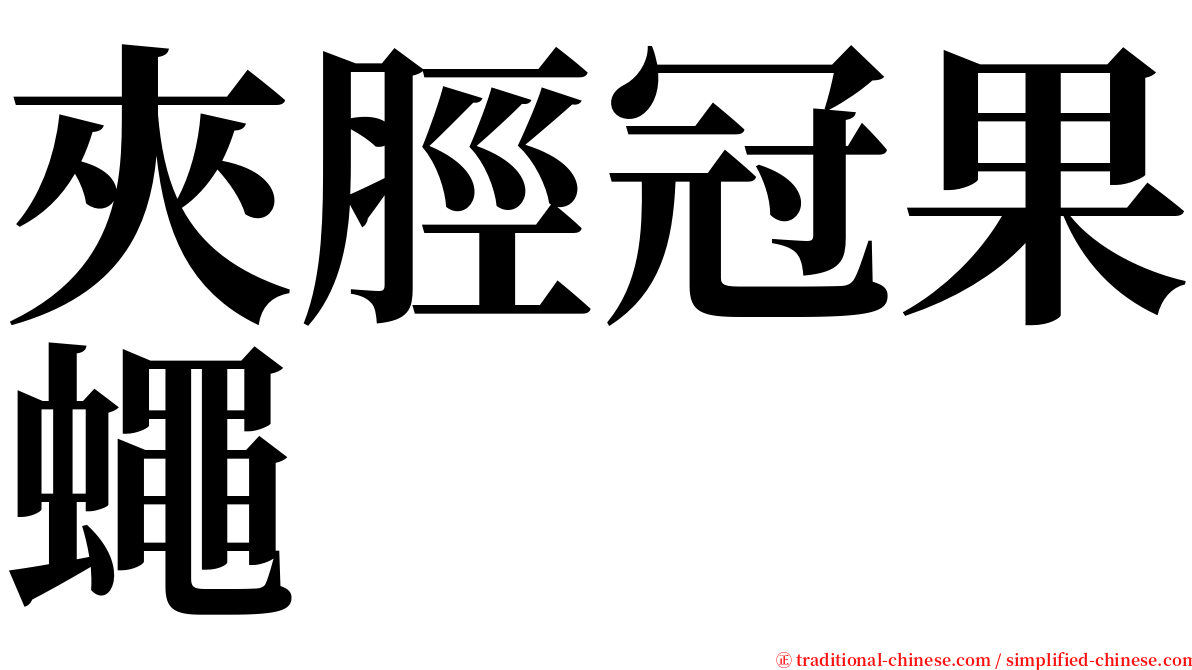 夾脛冠果蠅 serif font