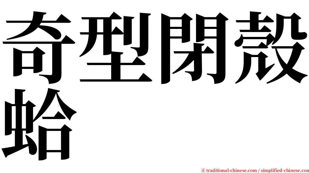 奇型閉殼蛤 serif font