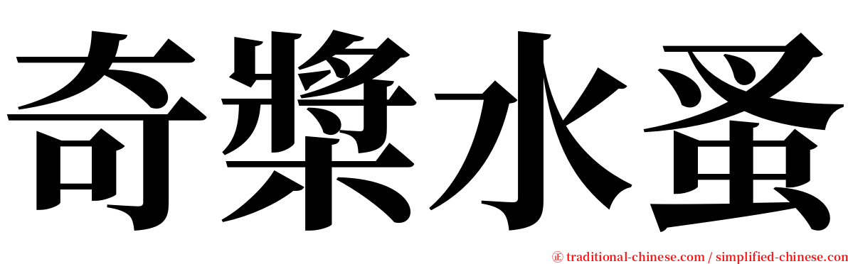 奇槳水蚤 serif font