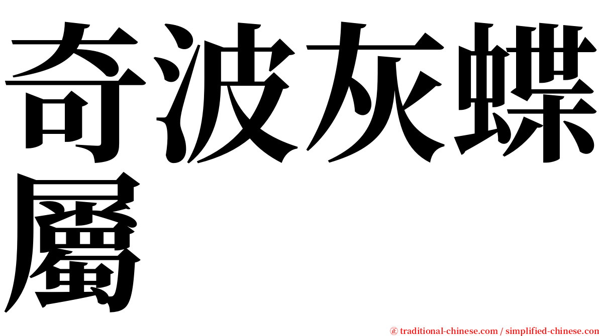 奇波灰蝶屬 serif font