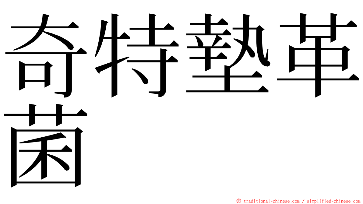 奇特墊革菌 ming font