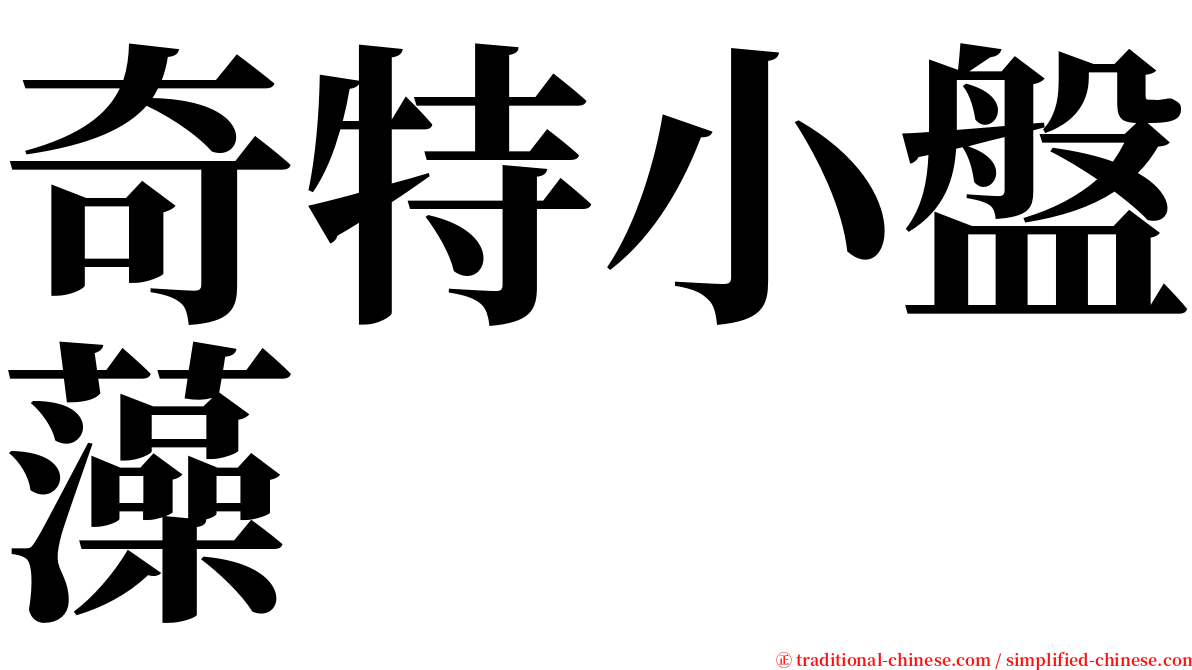 奇特小盤藻 serif font