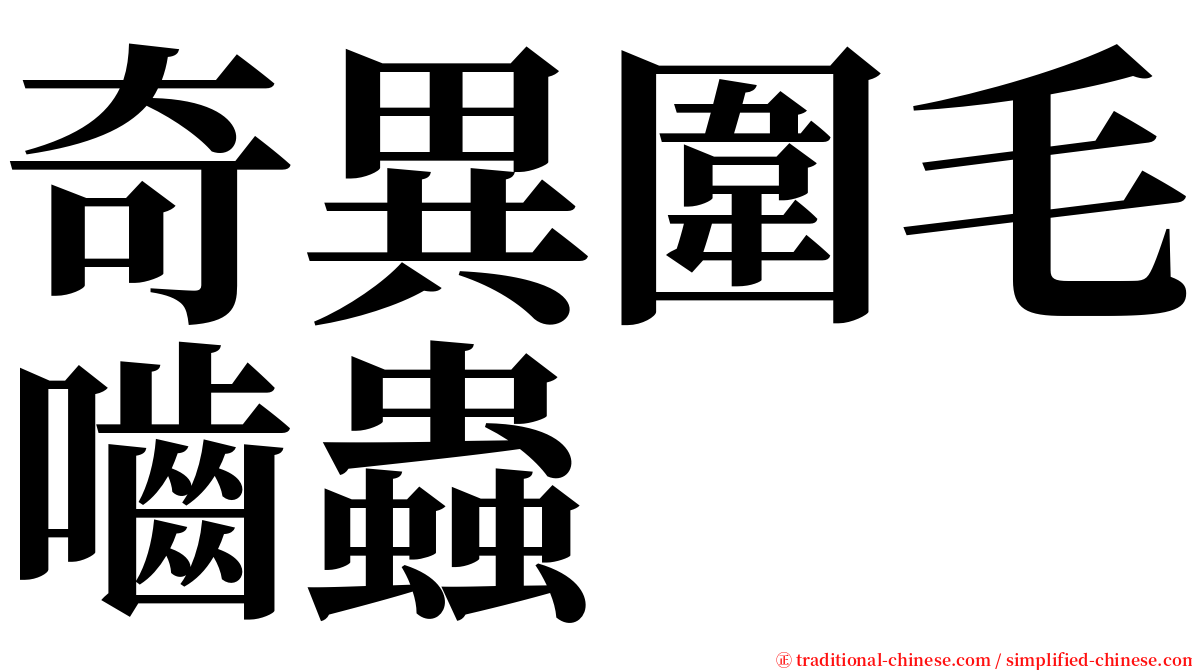 奇異圍毛嚙蟲 serif font