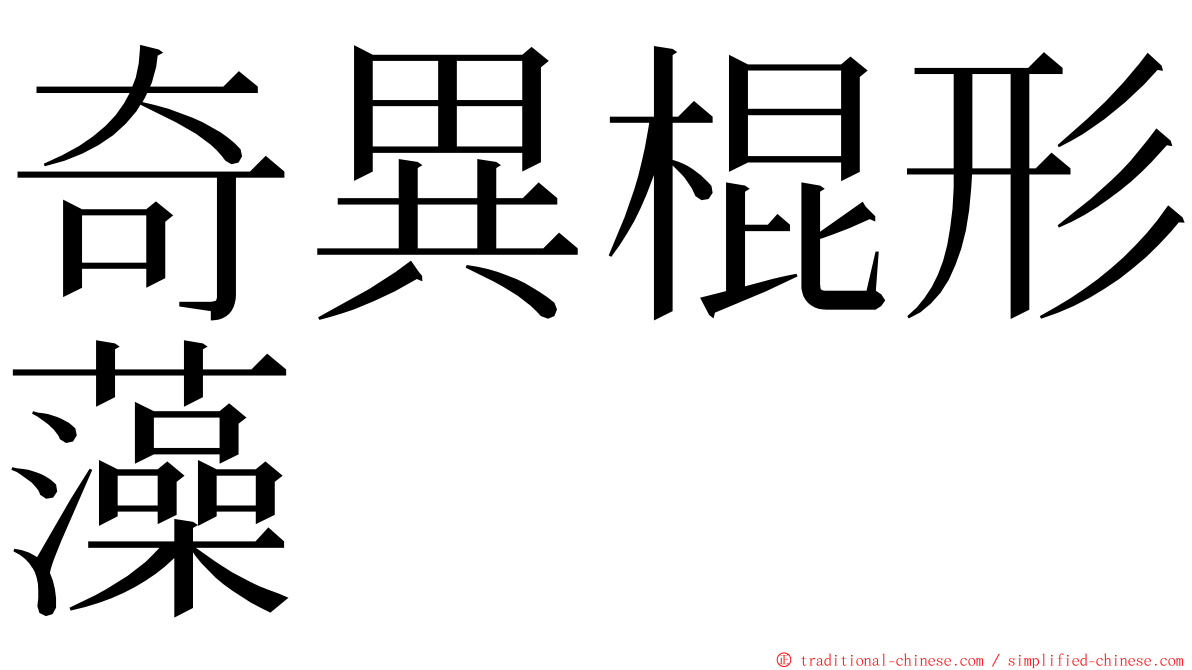 奇異棍形藻 ming font