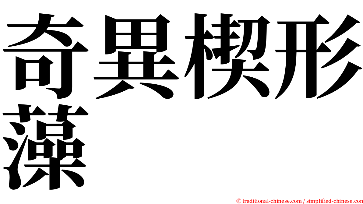 奇異楔形藻 serif font