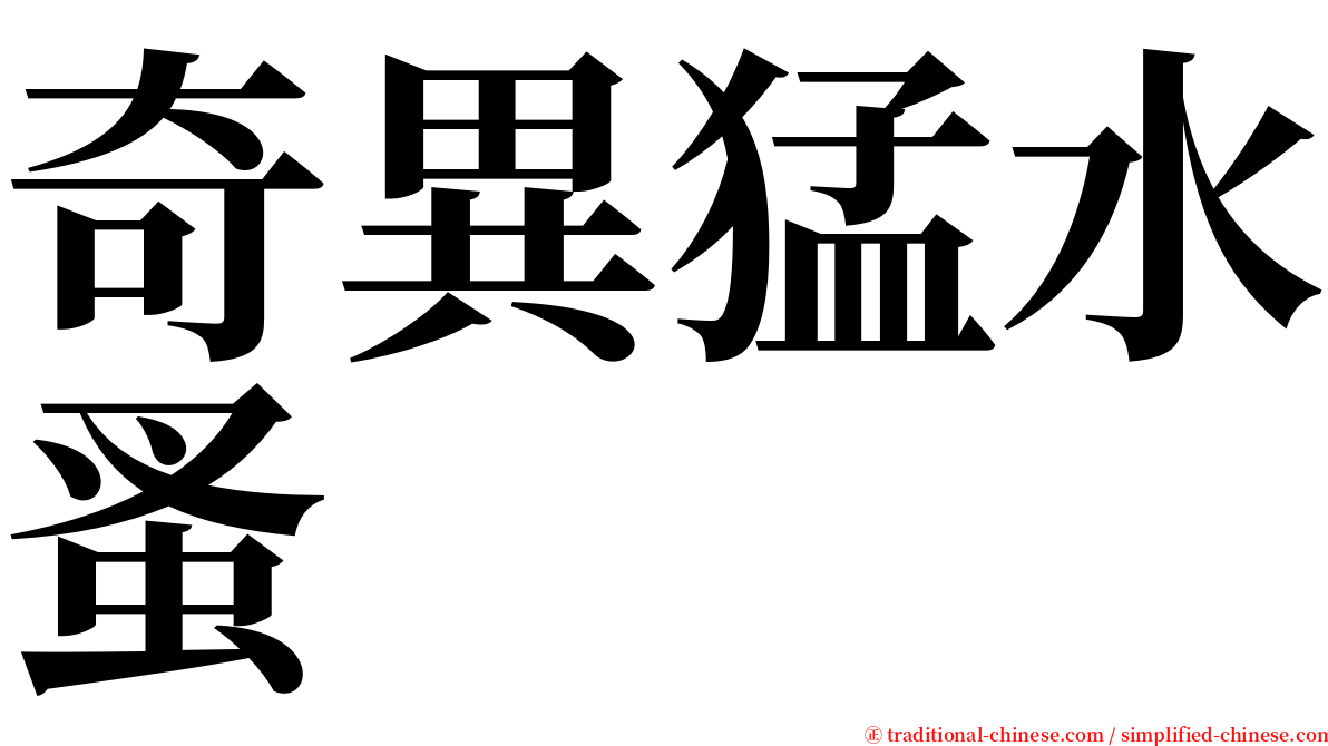 奇異猛水蚤 serif font