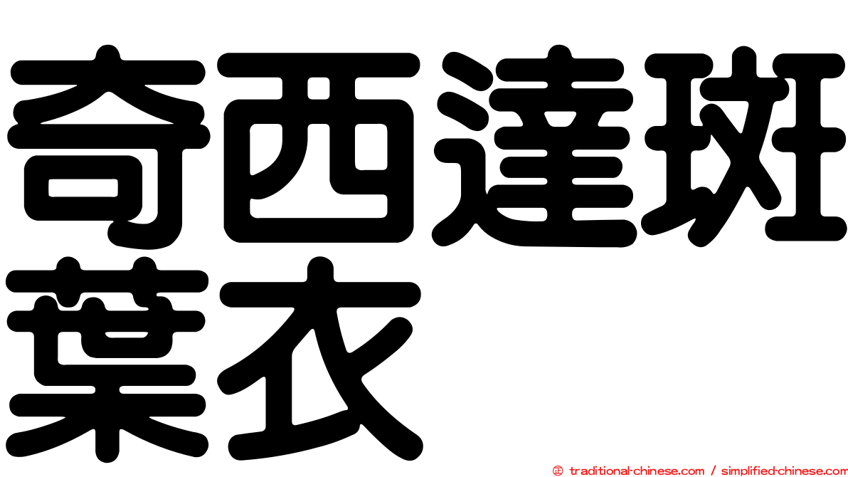 奇西達斑葉衣