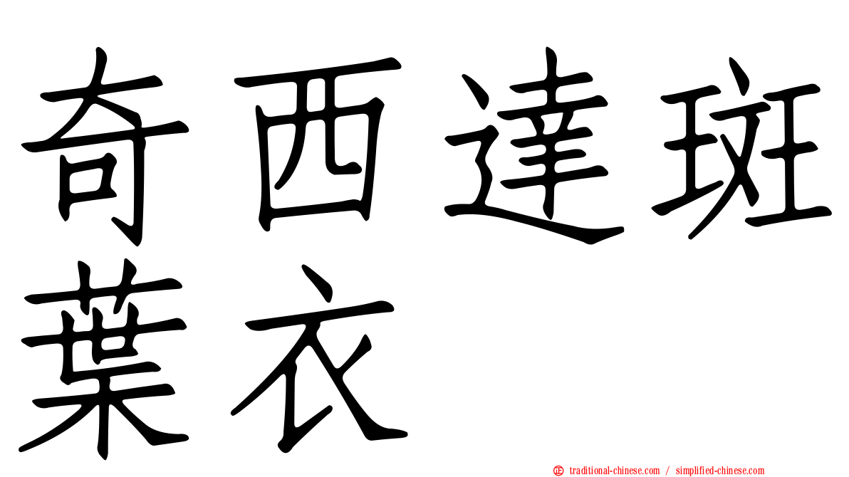 奇西達斑葉衣